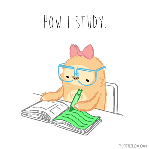 how i study well