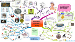 Cara membuat mind map