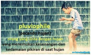 pluviophile | rasa senang berlebihan akan adanya hujan